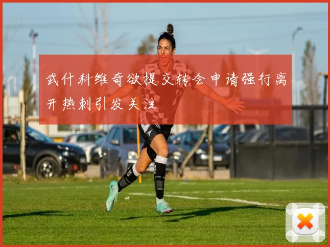 武什科维奇欲提交转会申请强行离开热刺引发关注