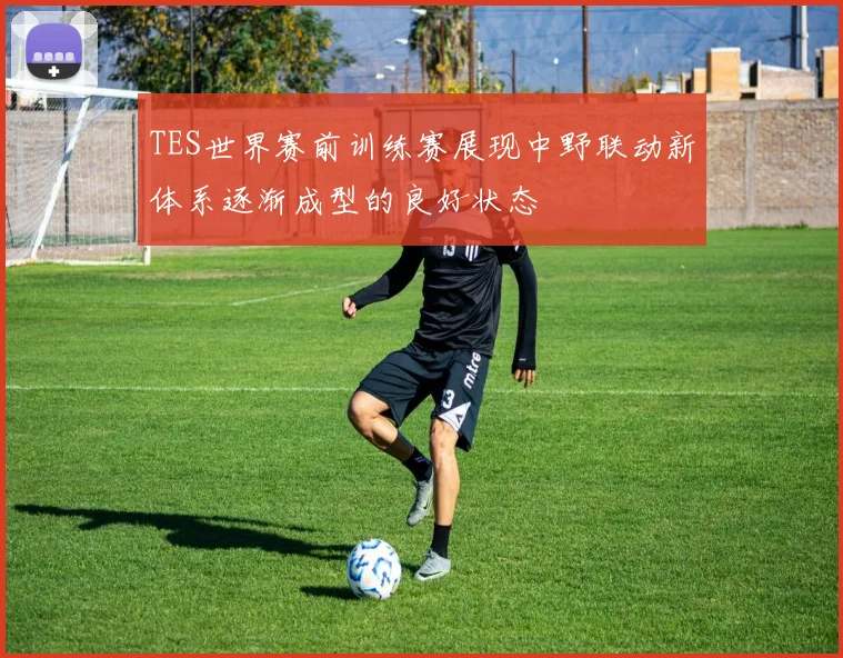 TES世界赛前训练赛展现中野联动新体系逐渐成型的良好状态