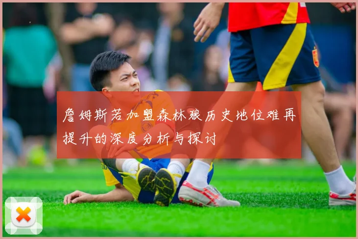 詹姆斯若加盟森林狼历史地位难再提升的深度分析与探讨