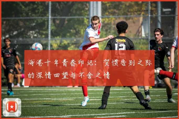 海港十年青春印记：贺惯告别之际的深情回望与不舍之情
