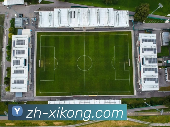 星空体育平台生态图